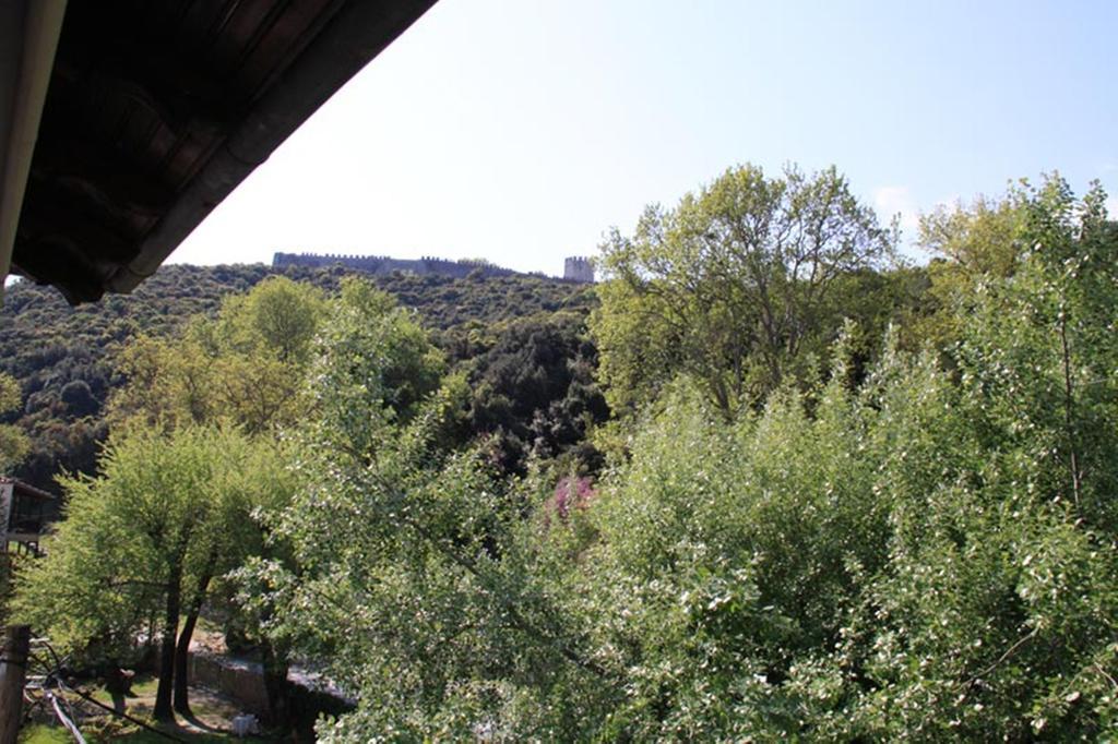 Φασόλι Στούντιος Διαμέρισμα Παραλία Παντελεήμονος Εξωτερικό φωτογραφία